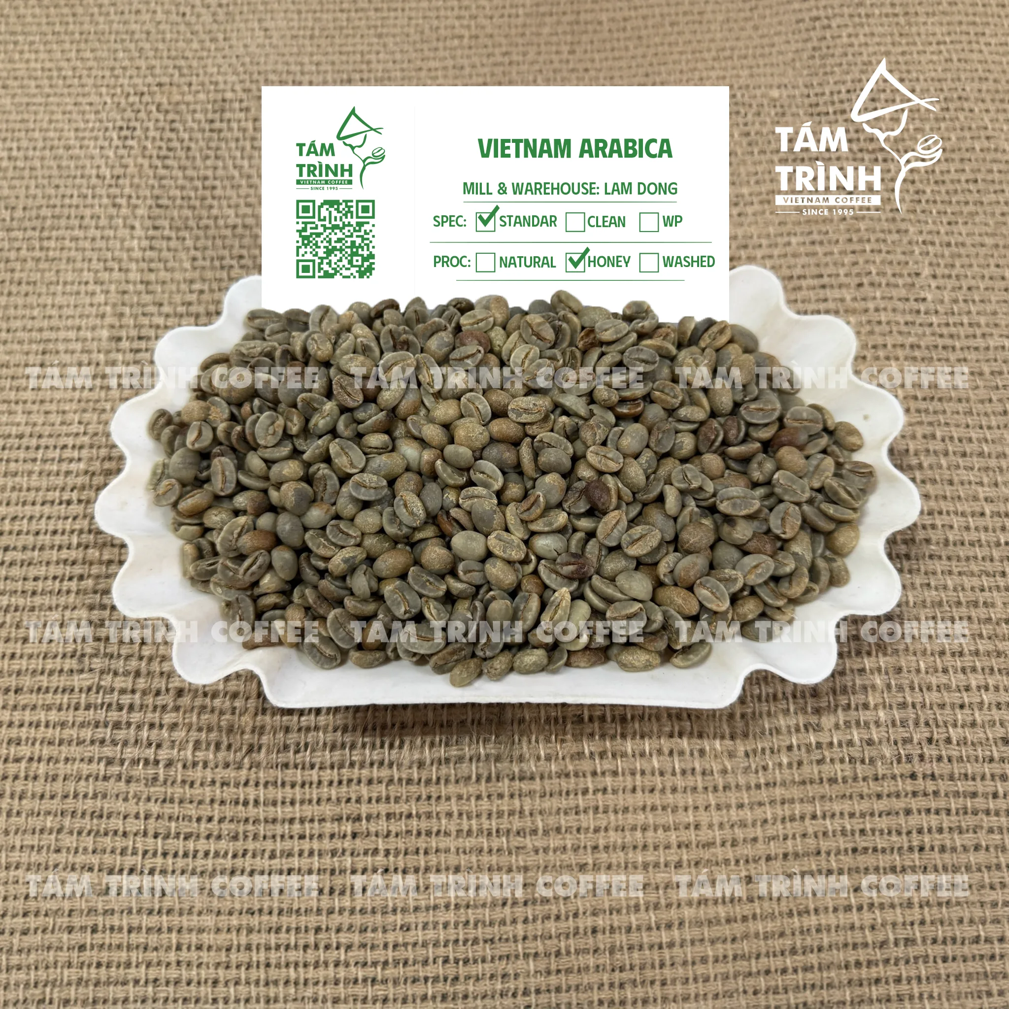 Arabica Washed S18 S16 S14 | Arabica Green Coffee Beans