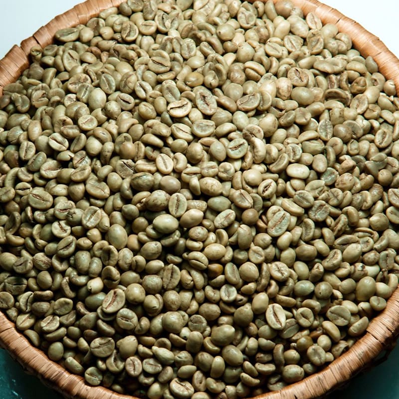 Robusta S18 Wet Polished