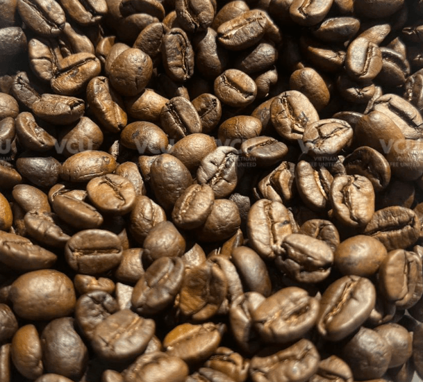 ROBUSTA ROASTED